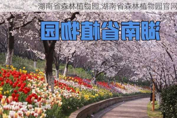 湖南省森林植物园,湖南省森林植物园官网-第1张图片-奥莱旅游网