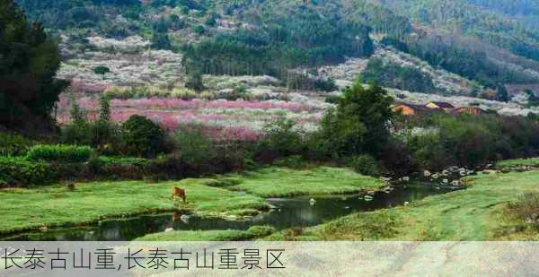 长泰古山重,长泰古山重景区-第3张图片-奥莱旅游网