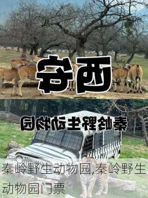 秦岭野生动物园,秦岭野生动物园门票-第2张图片-奥莱旅游网