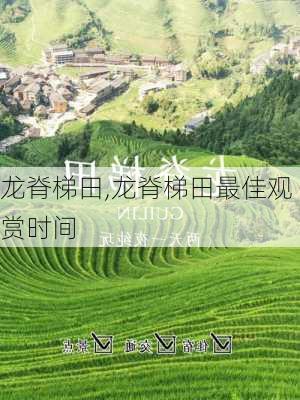 龙脊梯田,龙脊梯田最佳观赏时间-第2张图片-奥莱旅游网