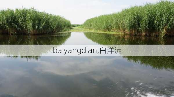 baiyangdian,白洋淀-第1张图片-奥莱旅游网