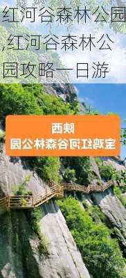 红河谷森林公园,红河谷森林公园攻略一日游-第2张图片-奥莱旅游网