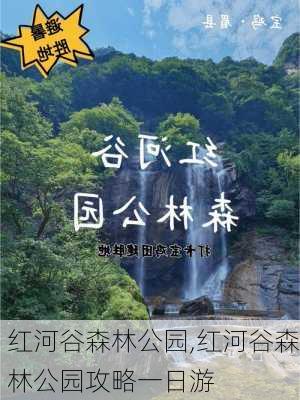 红河谷森林公园,红河谷森林公园攻略一日游-第3张图片-奥莱旅游网