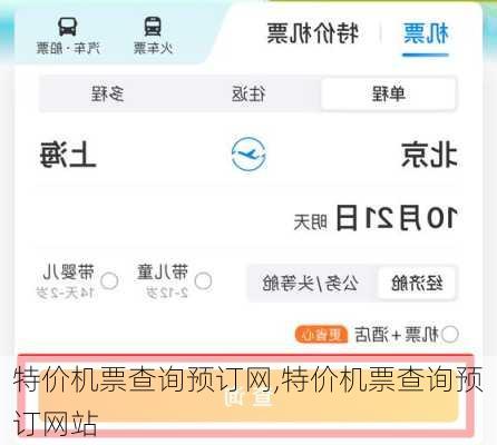 特价机票查询预订网,特价机票查询预订网站-第3张图片-奥莱旅游网