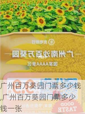 广州百万葵园门票多少钱,广州百万葵园门票多少钱一张-第1张图片-奥莱旅游网