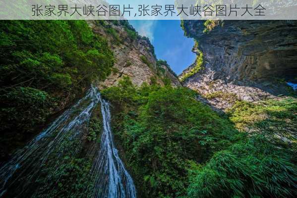 张家界大峡谷图片,张家界大峡谷图片大全-第1张图片-奥莱旅游网