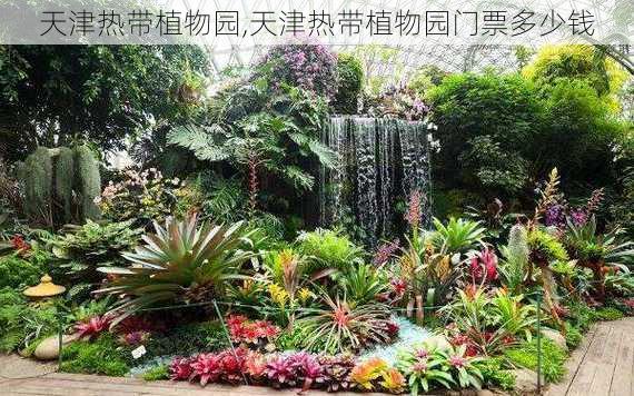 天津热带植物园,天津热带植物园门票多少钱-第2张图片-奥莱旅游网