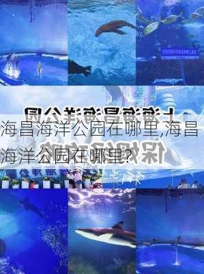 海昌海洋公园在哪里,海昌海洋公园在哪里?