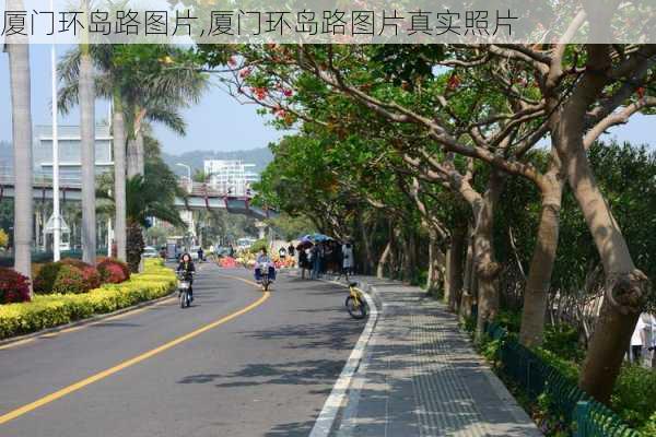 厦门环岛路图片,厦门环岛路图片真实照片-第3张图片-奥莱旅游网