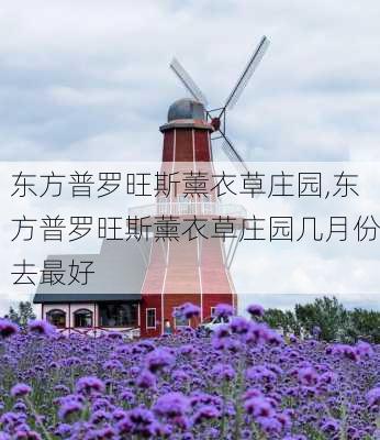 东方普罗旺斯薰衣草庄园,东方普罗旺斯薰衣草庄园几月份去最好-第2张图片-奥莱旅游网