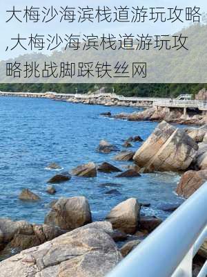 大梅沙海滨栈道游玩攻略,大梅沙海滨栈道游玩攻略挑战脚踩铁丝网-第3张图片-奥莱旅游网