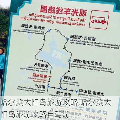 哈尔滨太阳岛旅游攻略,哈尔滨太阳岛旅游攻略自驾游-第3张图片-奥莱旅游网