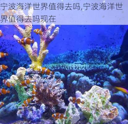 宁波海洋世界值得去吗,宁波海洋世界值得去吗现在-第2张图片-奥莱旅游网