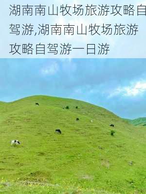 湖南南山牧场旅游攻略自驾游,湖南南山牧场旅游攻略自驾游一日游-第3张图片-奥莱旅游网