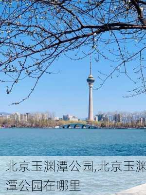 北京玉渊潭公园,北京玉渊潭公园在哪里-第2张图片-奥莱旅游网