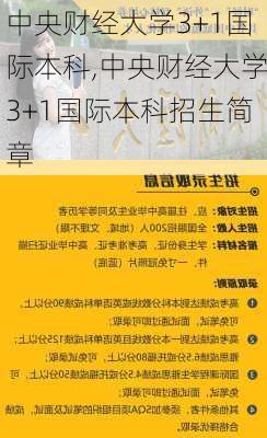 中央财经大学3+1国际本科,中央财经大学3+1国际本科招生简章-第2张图片-奥莱旅游网