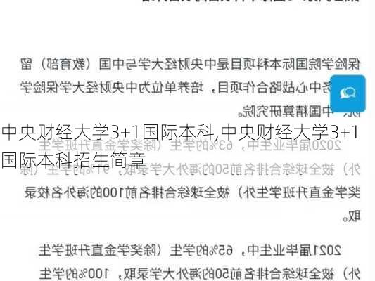 中央财经大学3+1国际本科,中央财经大学3+1国际本科招生简章-第3张图片-奥莱旅游网