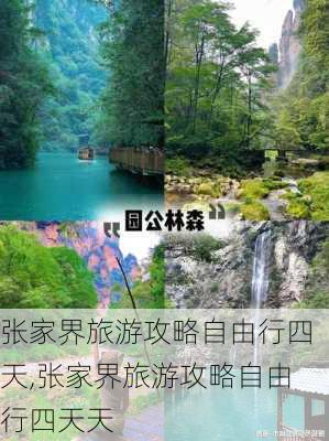 张家界旅游攻略自由行四天,张家界旅游攻略自由行四天天-第2张图片-奥莱旅游网