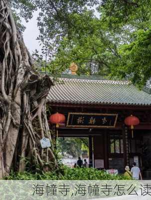 海幢寺,海幢寺怎么读-第3张图片-奥莱旅游网