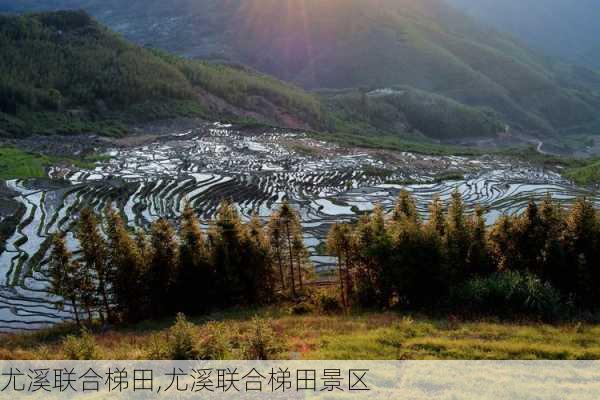 尤溪联合梯田,尤溪联合梯田景区-第3张图片-奥莱旅游网