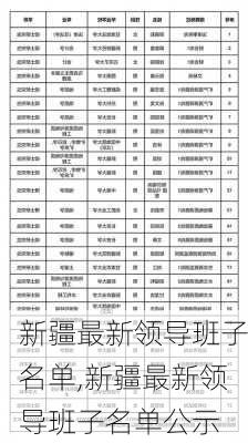 新疆最新领导班子名单,新疆最新领导班子名单公示-第3张图片-奥莱旅游网