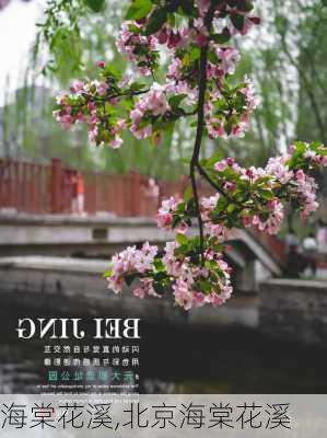 海棠花溪,北京海棠花溪-第2张图片-奥莱旅游网