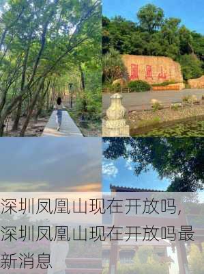 深圳凤凰山现在开放吗,深圳凤凰山现在开放吗最新消息-第1张图片-奥莱旅游网