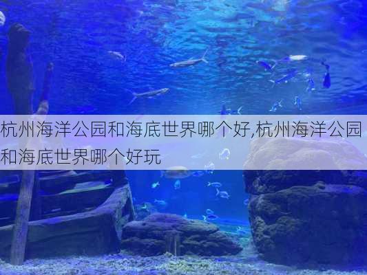 杭州海洋公园和海底世界哪个好,杭州海洋公园和海底世界哪个好玩-第3张图片-奥莱旅游网