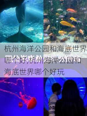 杭州海洋公园和海底世界哪个好,杭州海洋公园和海底世界哪个好玩-第2张图片-奥莱旅游网