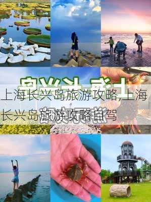 上海长兴岛旅游攻略,上海长兴岛旅游攻略自驾-第2张图片-奥莱旅游网