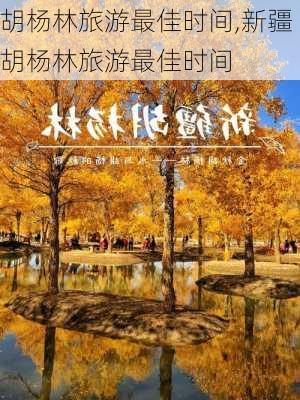 胡杨林旅游最佳时间,新疆胡杨林旅游最佳时间-第2张图片-奥莱旅游网