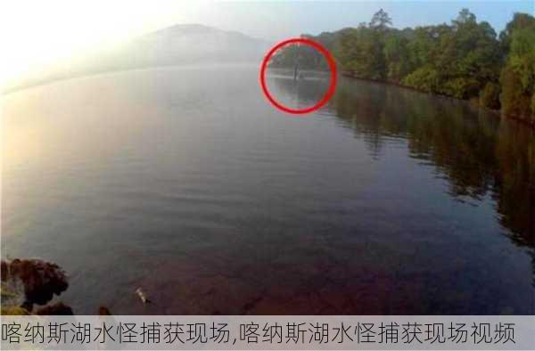 喀纳斯湖水怪捕获现场,喀纳斯湖水怪捕获现场视频-第1张图片-奥莱旅游网