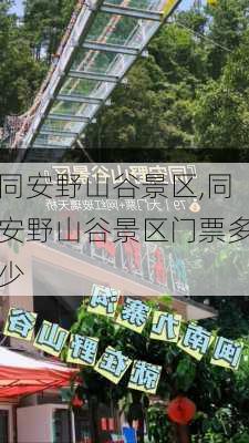 同安野山谷景区,同安野山谷景区门票多少-第2张图片-奥莱旅游网