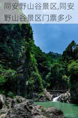 同安野山谷景区,同安野山谷景区门票多少-第3张图片-奥莱旅游网