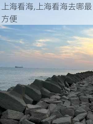 上海看海,上海看海去哪最方便-第3张图片-奥莱旅游网