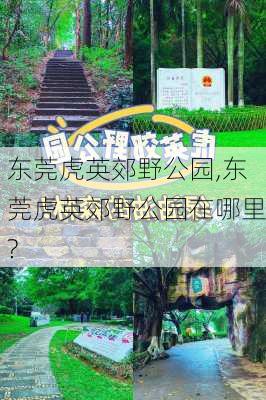 东莞虎英郊野公园,东莞虎英郊野公园在哪里?-第1张图片-奥莱旅游网