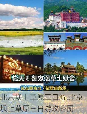 北京坝上草原三日游,北京坝上草原三日游攻略图-第1张图片-奥莱旅游网