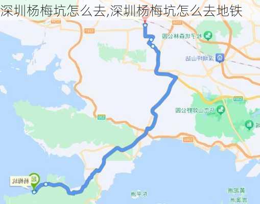 深圳杨梅坑怎么去,深圳杨梅坑怎么去地铁-第3张图片-奥莱旅游网