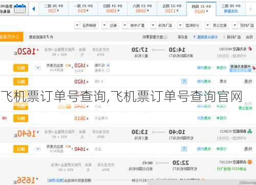 飞机票订单号查询,飞机票订单号查询官网-第1张图片-奥莱旅游网