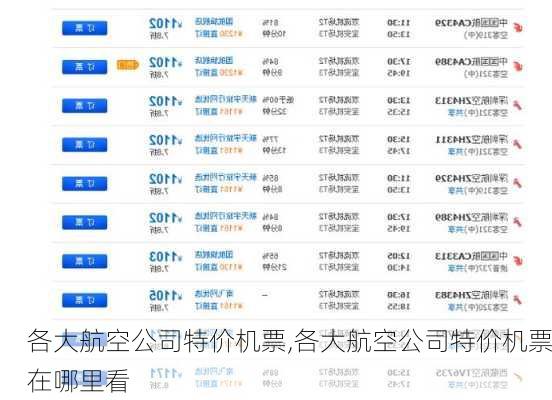 各大航空公司特价机票,各大航空公司特价机票在哪里看-第2张图片-奥莱旅游网