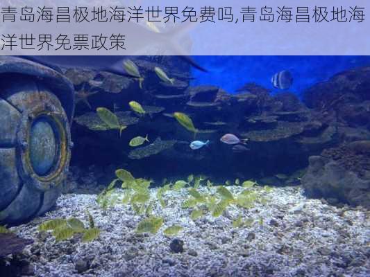 青岛海昌极地海洋世界免费吗,青岛海昌极地海洋世界免票政策-第2张图片-奥莱旅游网