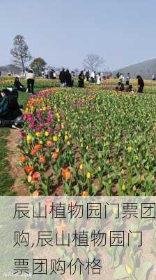 辰山植物园门票团购,辰山植物园门票团购价格-第3张图片-奥莱旅游网