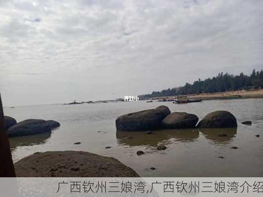 广西钦州三娘湾,广西钦州三娘湾介绍-第2张图片-奥莱旅游网