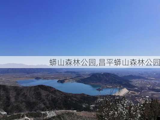 蟒山森林公园,昌平蟒山森林公园-第1张图片-奥莱旅游网