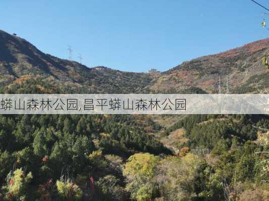 蟒山森林公园,昌平蟒山森林公园-第3张图片-奥莱旅游网