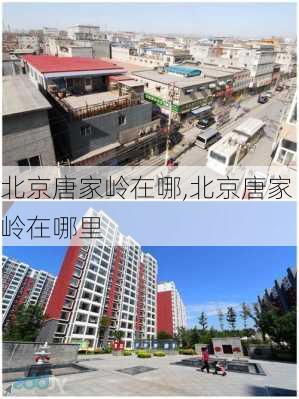 北京唐家岭在哪,北京唐家岭在哪里-第3张图片-奥莱旅游网