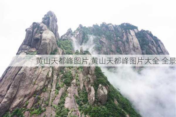 黄山天都峰图片,黄山天都峰图片大全 全景-第3张图片-奥莱旅游网