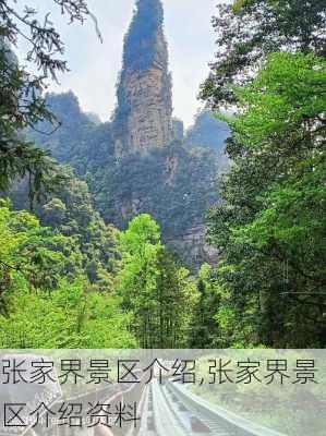 张家界景区介绍,张家界景区介绍资料-第3张图片-奥莱旅游网