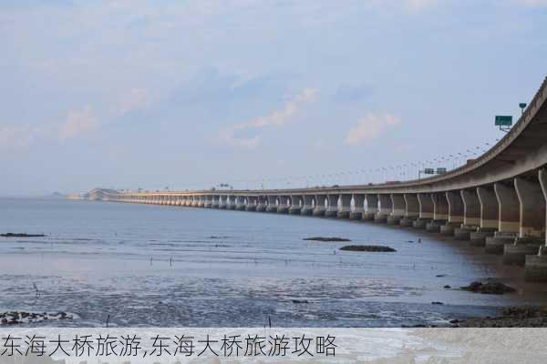 东海大桥旅游,东海大桥旅游攻略-第1张图片-奥莱旅游网