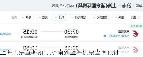 上海机票查询预订,济南到上海机票查询预订-第1张图片-奥莱旅游网
